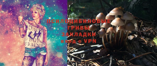 стафф Алексин