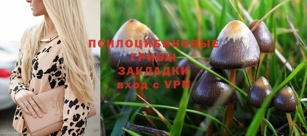 МДПВ Абаза