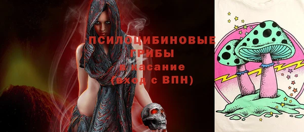 стафф Алексин